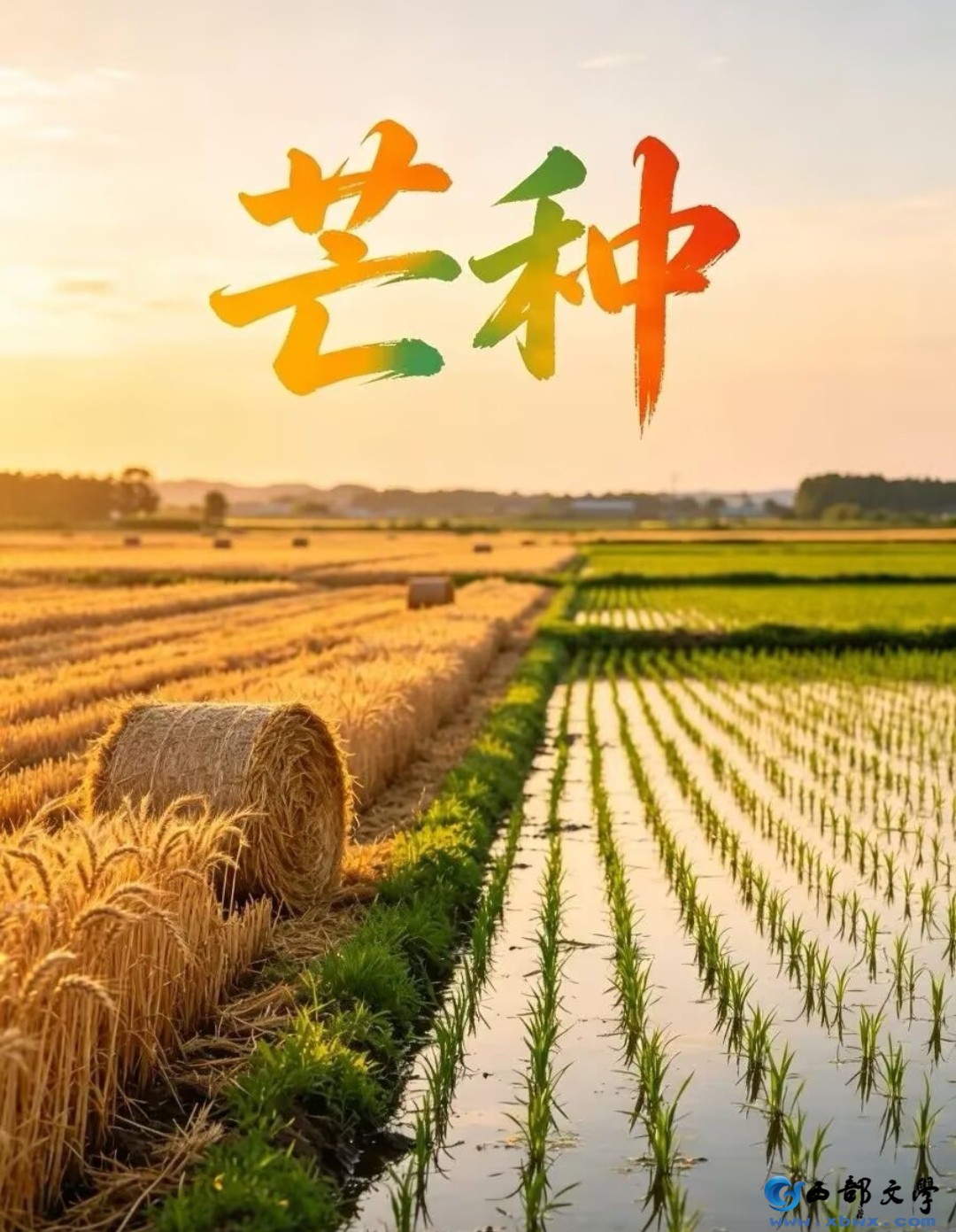 Screenshot_20260605_195819_com.tencent.mobileqq_edit_43469350054303.jpg
