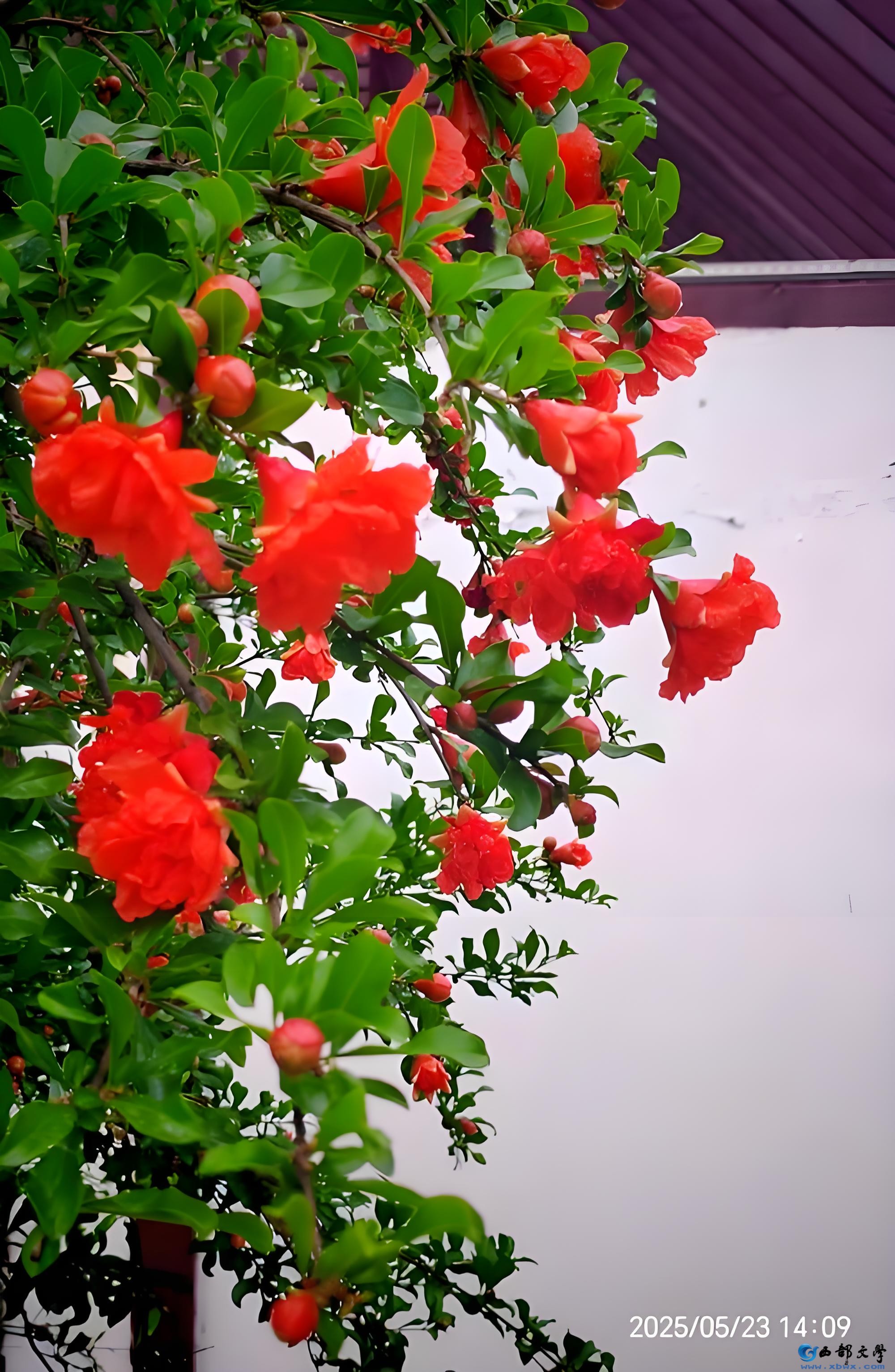 884df4543c80cbd8.jpg