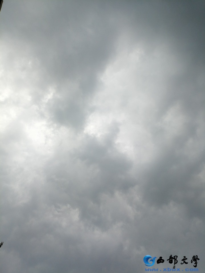 IMG_20260616_164029.jpg