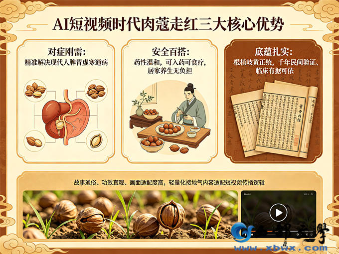 3肉蔻短视频传播优势.png