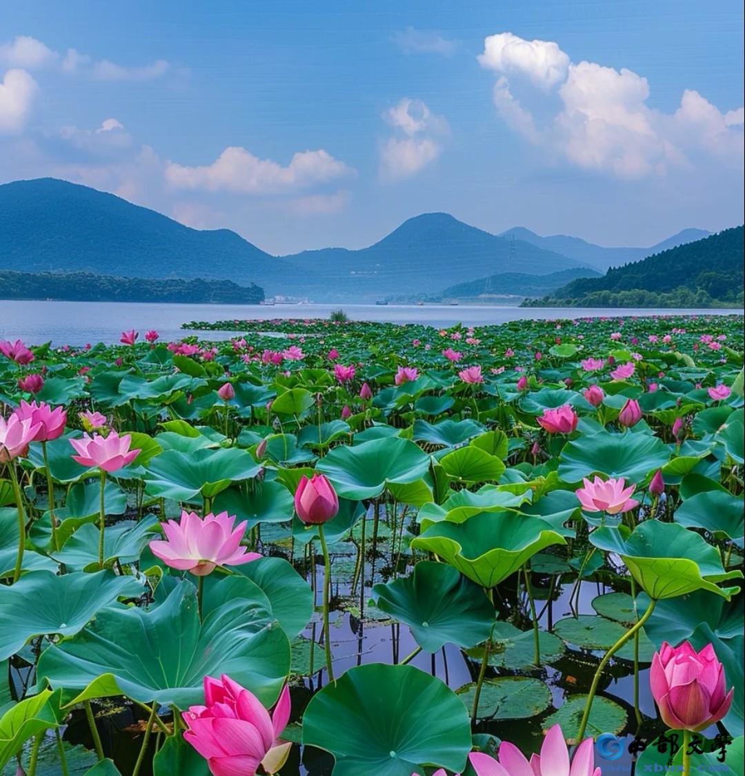 Screenshot_20260618_113053_com.baidu.searchbox_edit_53460237082987.jpg