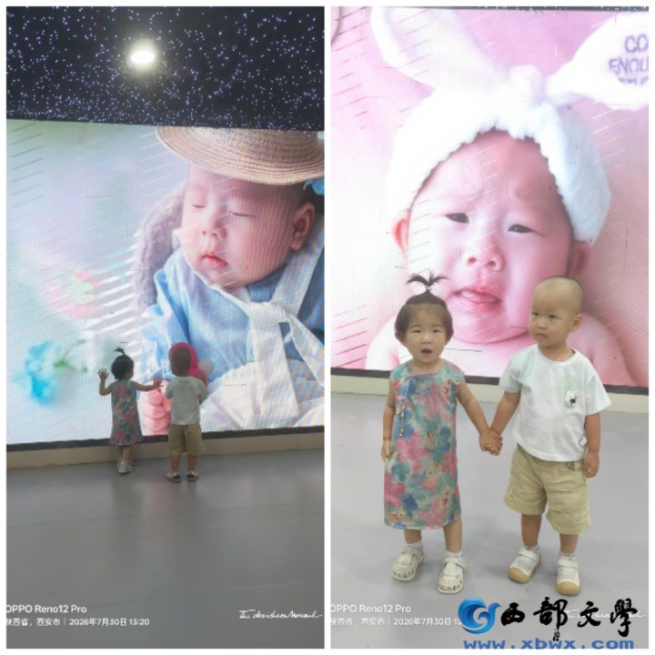 Collage_20260731_162720.jpg