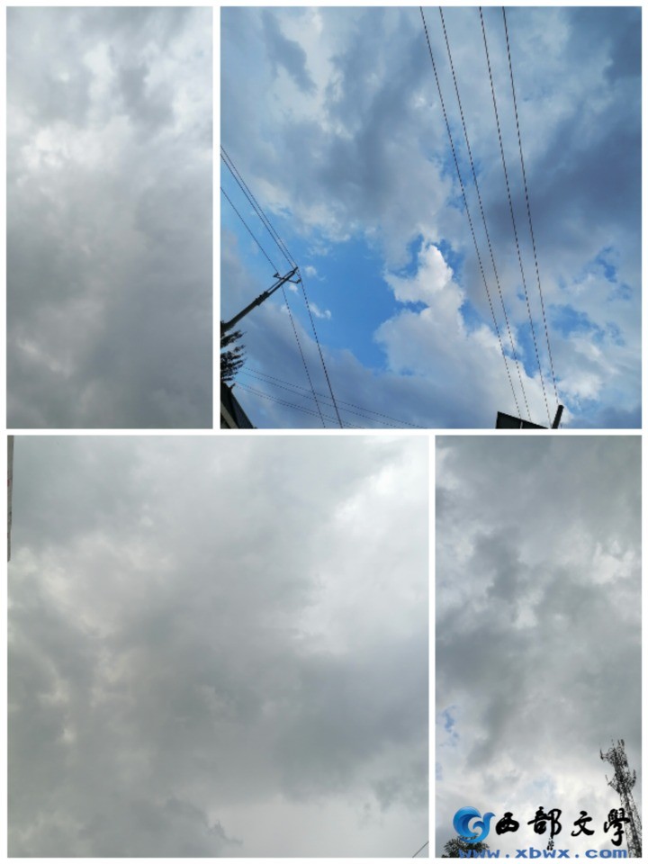 Collage_20260826_190531.jpg
