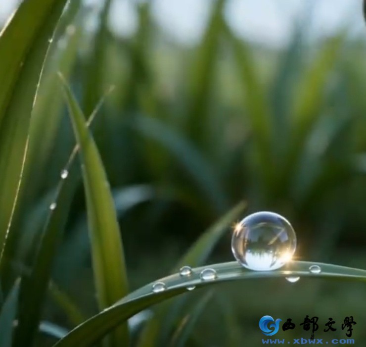 screenshot_20260907_223100_com.baidu.baiduapp.jpg