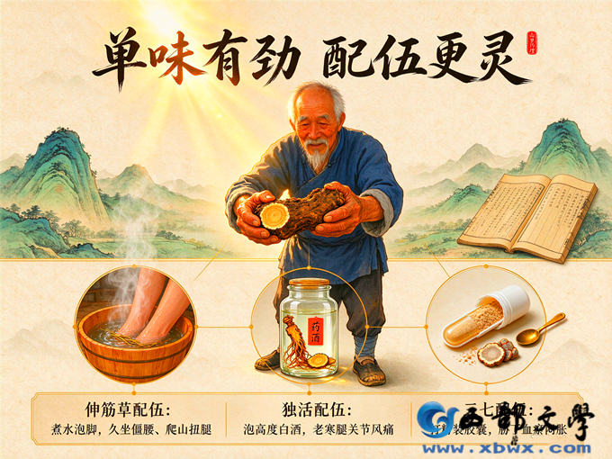 2中国风窝儿七配伍养生图.png